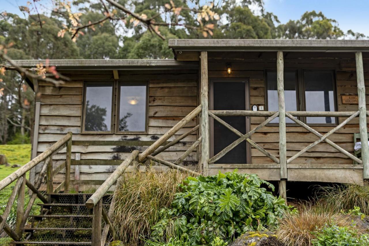 Mole Creek Cabins מראה חיצוני תמונה