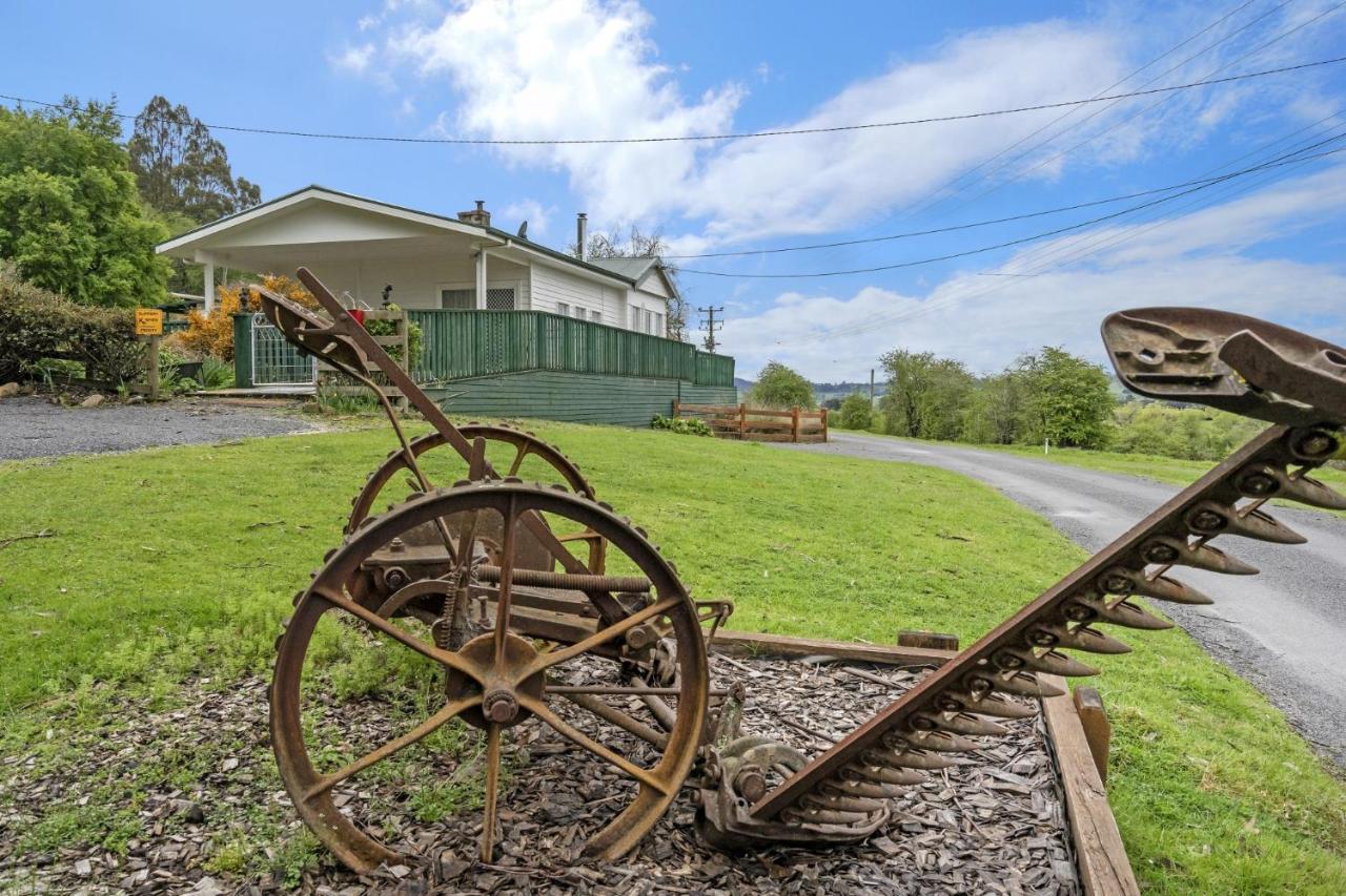 Mole Creek Cabins מראה חיצוני תמונה