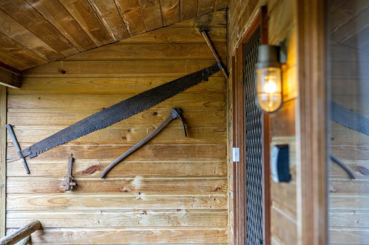 Mole Creek Cabins מראה חיצוני תמונה