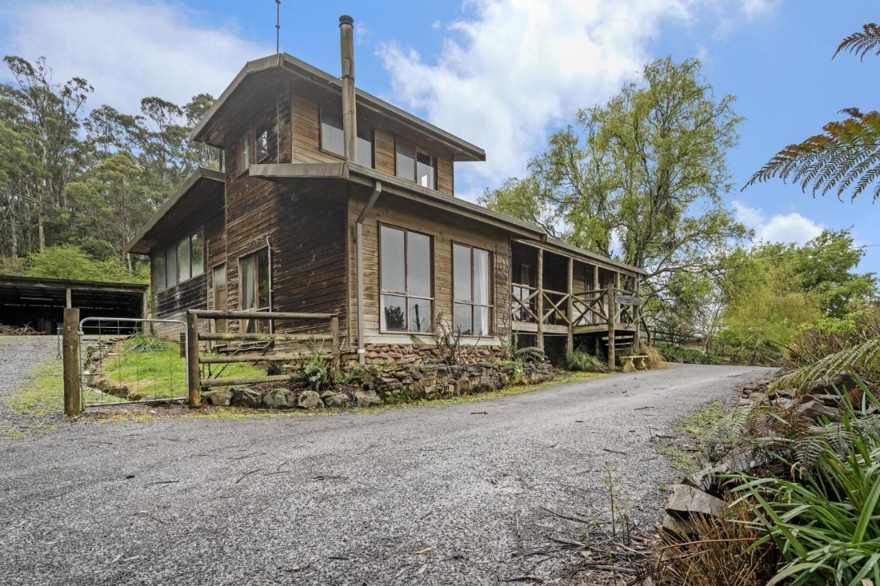 Mole Creek Cabins מראה חיצוני תמונה